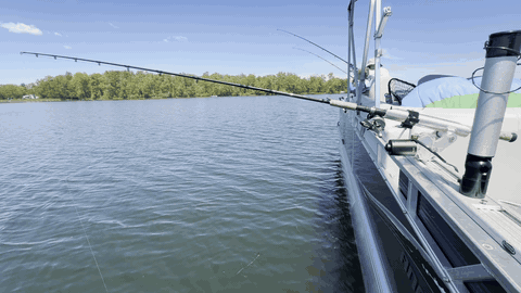 The Auto-Jig working a rod off the side of the boat on the water